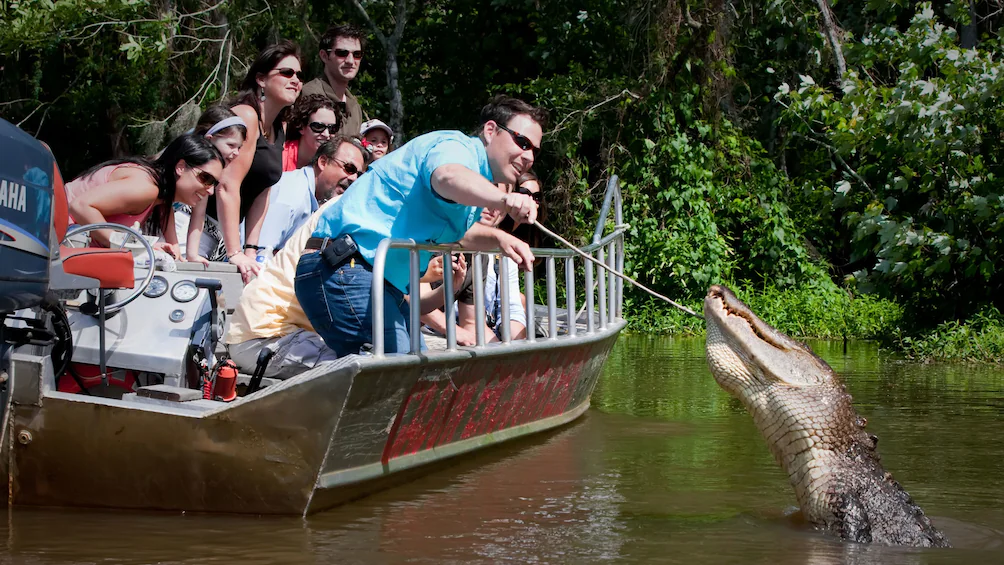 Alligator Bayou Swamp Tours