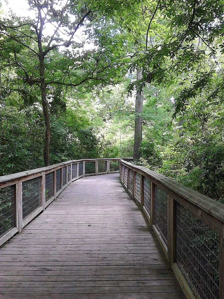 Boardwalk at BREC Bluebonnet Nature Center