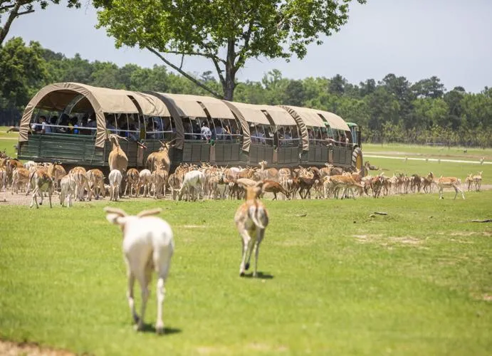 Top Rated Spray Foam Insulation Company in Tangipahoa Parish, LA 13 Global Wildlife Center in Tangipahoa Parish, LA