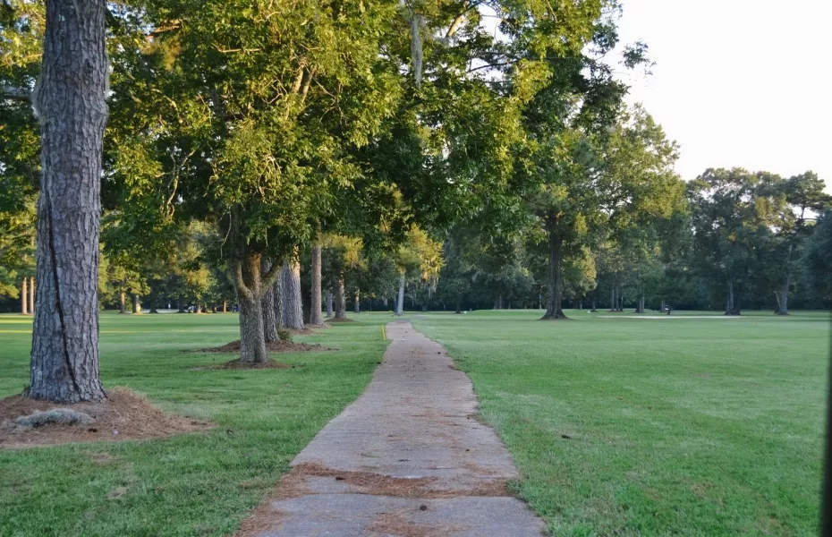 Best Spray Foam Insulation Contractor in Denham Springs, LA 13 North Park