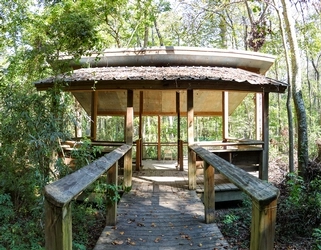 Bluebonnet Swamp Nature Center
