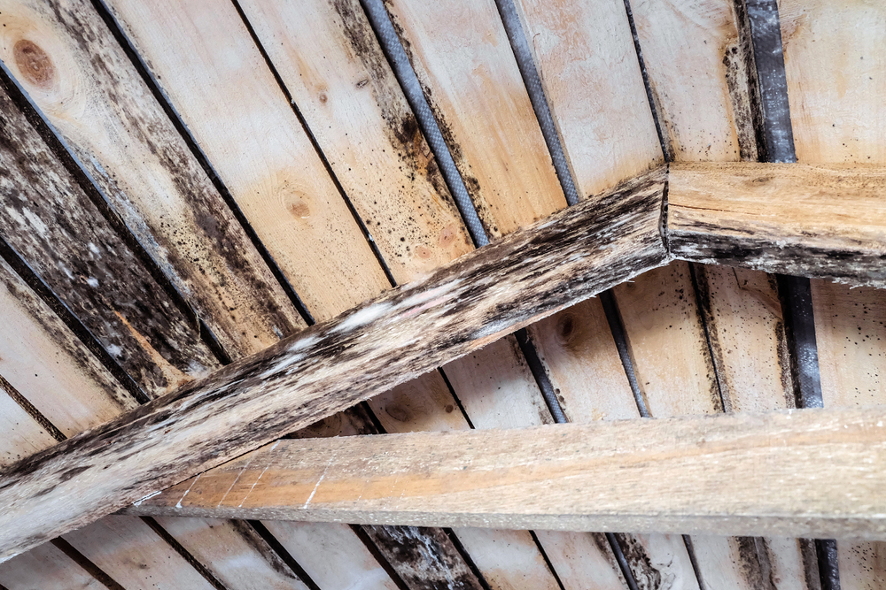 How Does Spray Foam Insulation Protect Your Attic from Wood Rot - spray foam insulation in covington